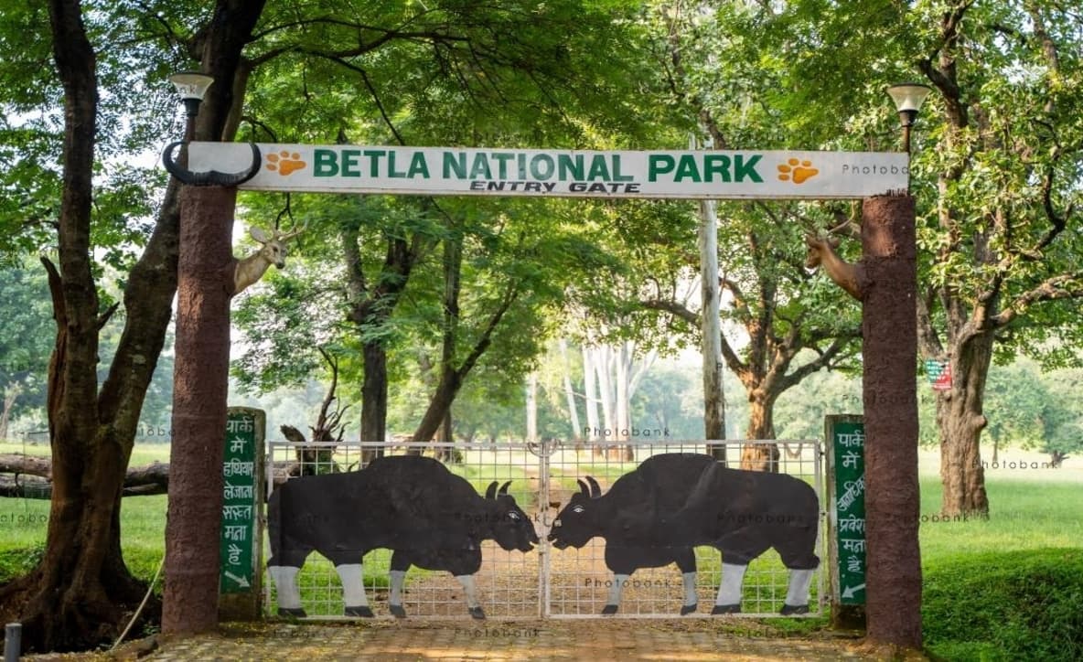 Betla National Park
